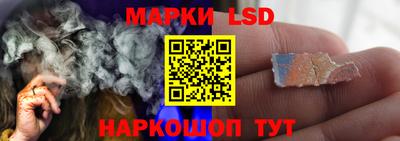 индика Моздок