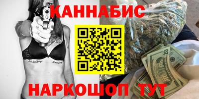 индика Моздок