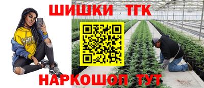 индика Моздок