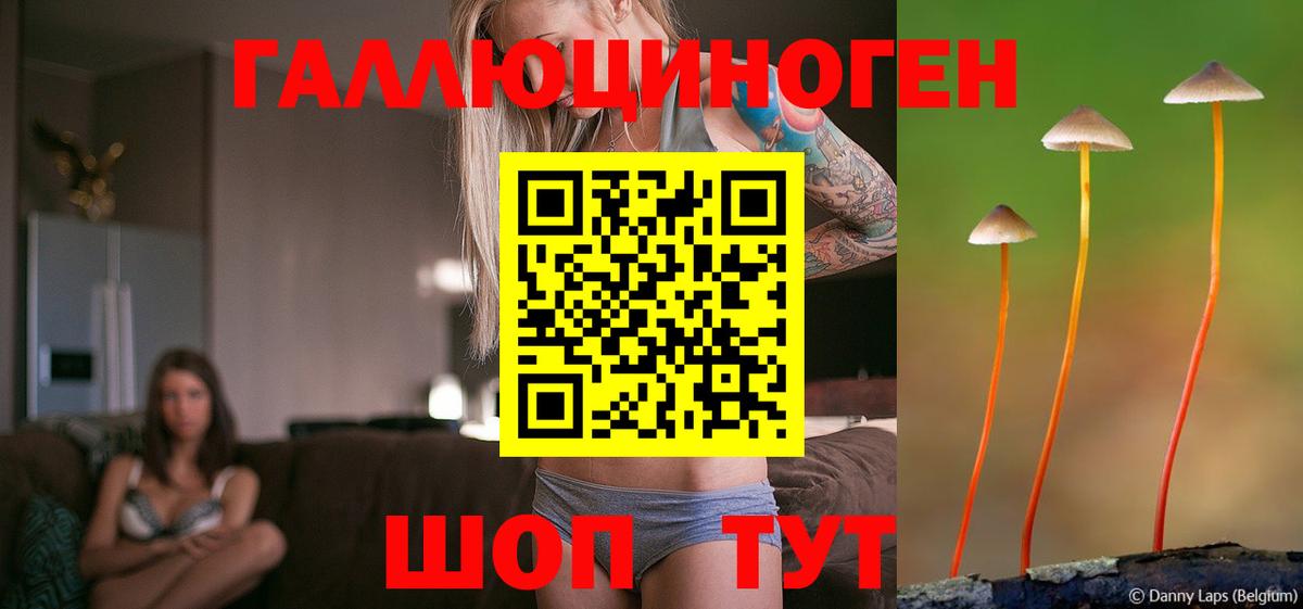Псилоцибиновые грибы MAGIC MUSHROOMS  Галлюциногенные грибы MAGIC MUSHROOMS  Вход с VPN  Великий Новгород 